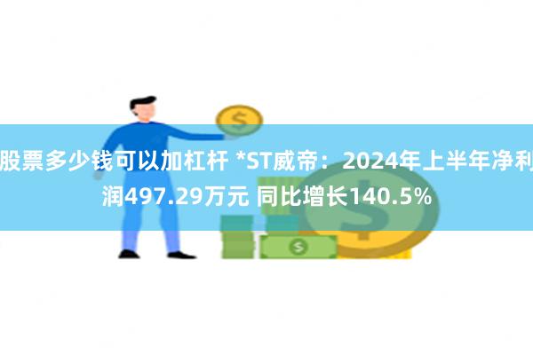 股票多少钱可以加杠杆 *ST威帝：2024年上半年净利润497.29万元 同比增长140.5%