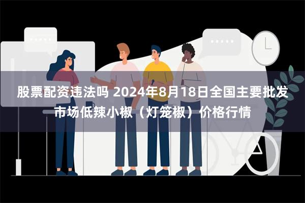 股票配资违法吗 2024年8月18日全国主要批发市场低辣小椒（灯笼椒）价格行情