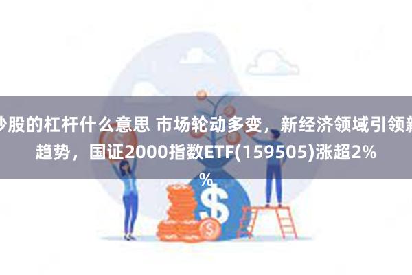 炒股的杠杆什么意思 市场轮动多变，新经济领域引领新趋势，国证2000指数ETF(159505)涨超2%