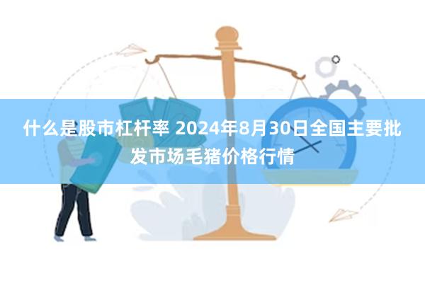 什么是股市杠杆率 2024年8月30日全国主要批发市场毛猪价格行情