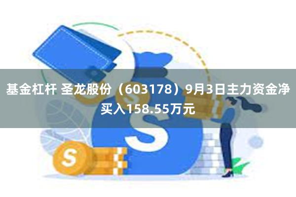 基金杠杆 圣龙股份（603178）9月3日主力资金净买入158.55万元