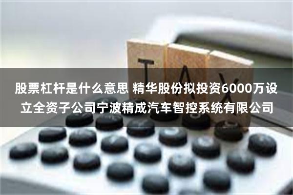 股票杠杆是什么意思 精华股份拟投资6000万设立全资子公司宁波精成汽车智控系统有限公司