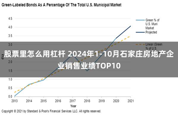 股票里怎么用杠杆 2024年1-10月石家庄房地产企业销售业绩TOP10