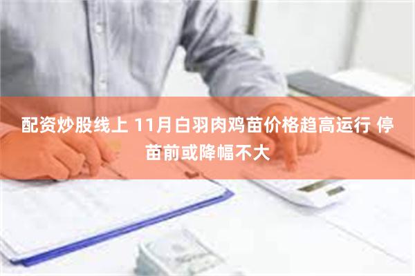 配资炒股线上 11月白羽肉鸡苗价格趋高运行 停苗前或降幅不大