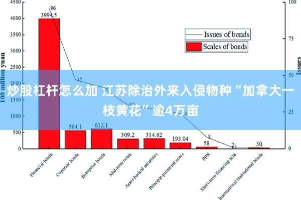 炒股杠杆怎么加 江苏除治外来入侵物种“加拿大一枝黄花”逾4万亩