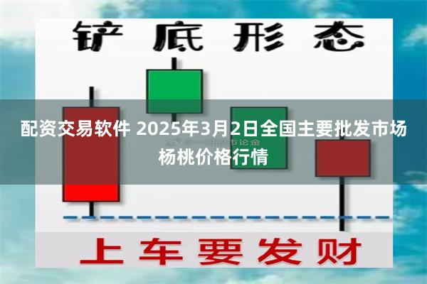 配资交易软件 2025年3月2日全国主要批发市场杨桃价格行情