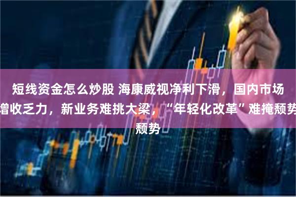 短线资金怎么炒股 海康威视净利下滑，国内市场增收乏力，新业务难挑大梁，“年轻化改革”难掩颓势