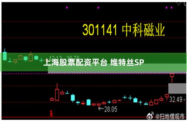 上海股票配资平台 维特丝SP